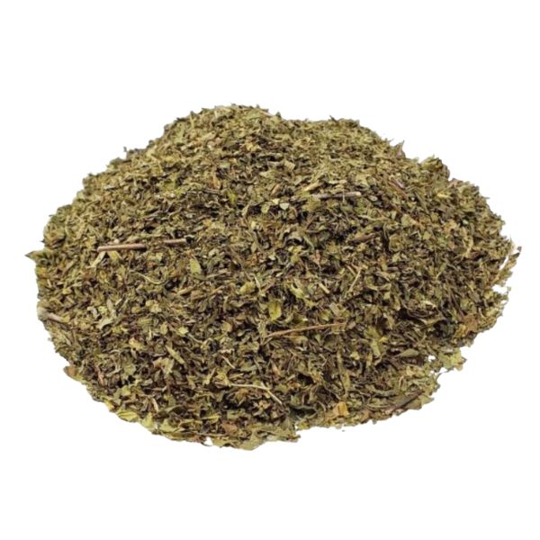 MENTA PIPERITA CH�